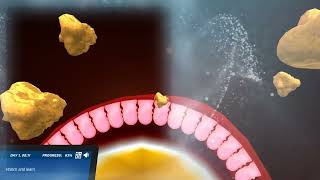Absorption In the Intestines: Journey from the stomach to the bloodstream | Virtual Lab