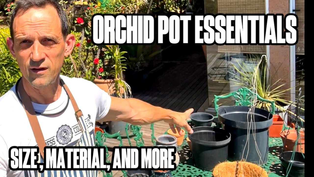 Orchid Pottery: Matching Pots to Your Orchid's Needs