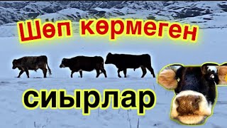 :  Ѳ !   !