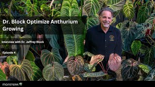 Ep 4 Doc Block Optimize Anthurium Growing