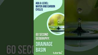 60 Second Geography | AQA A-Level Geography | Drainage Basin (Water and Carbon Cycles 2)