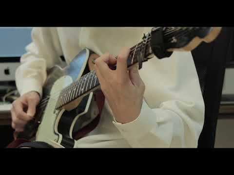 abnormalize (凛として時雨) - guitar cover