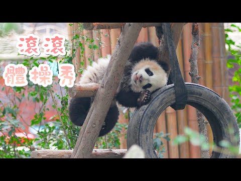 《熊貓早晚安》“國家體操隊”種子選手訓練日常 | iPanda熊貓頻道