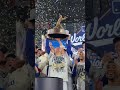 ❓みんなはなぜロサンゼルス・ドジャースが好き？⚾💙