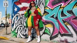 2026, BASSHALL X DANCEHALL X REGGEATON X BRAZILIAN FUNK + GLOBAL GENRES FUSION