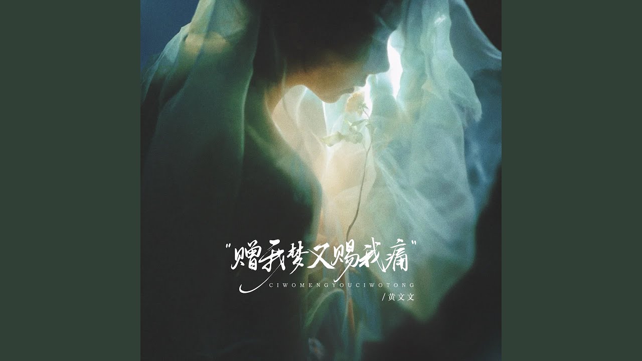 赠我梦又赐我痛 (伴奏)