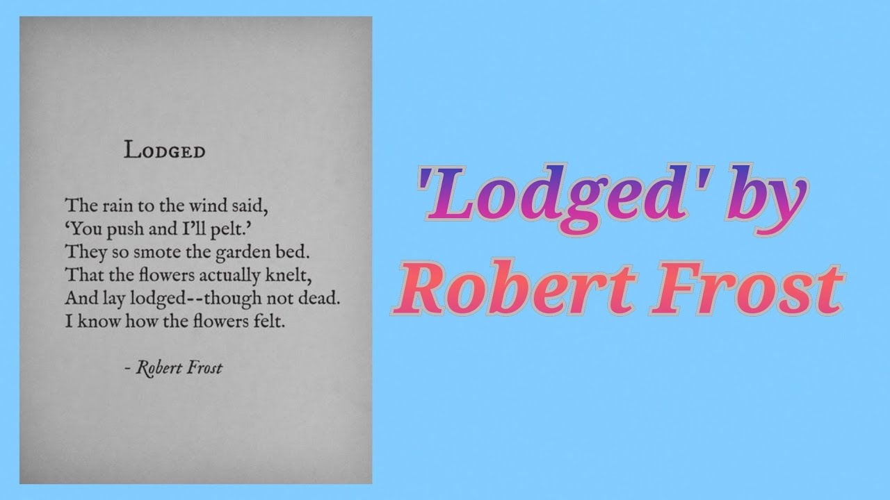 robert frost lodged meaning