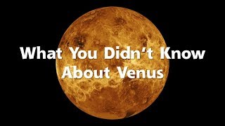 What You Didnt Know About Venus
