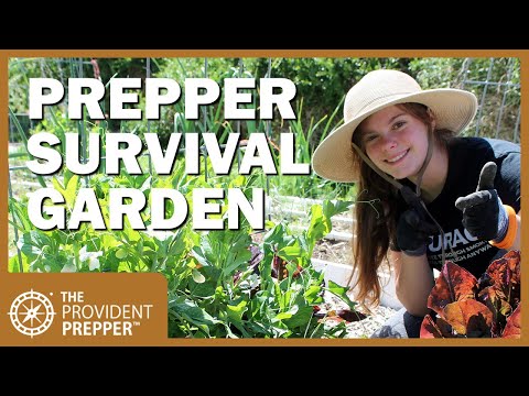 Survival Garden Design Basics for Preppers