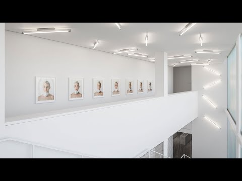 Видео: Blaffer Art Museum: Пълното ръководство