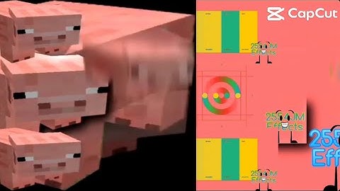 57 Shuric Scans With Are Slides