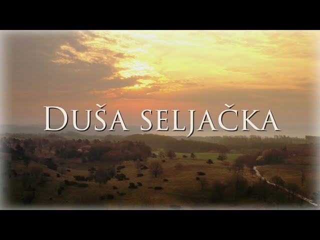 Siniša Vuco - Duša seljačka (Official Lyric Video)