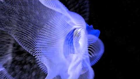 Blender - Animation Nodes - VertexColors