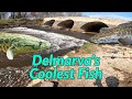 Spillway Snakehead Fishing on Delmarva! (Non-Stop Action)