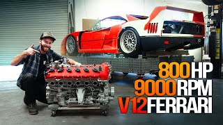 Thumbnail for Ferrari Enzo V12 on Steroids! The ULTIMATE Engine for my F40!