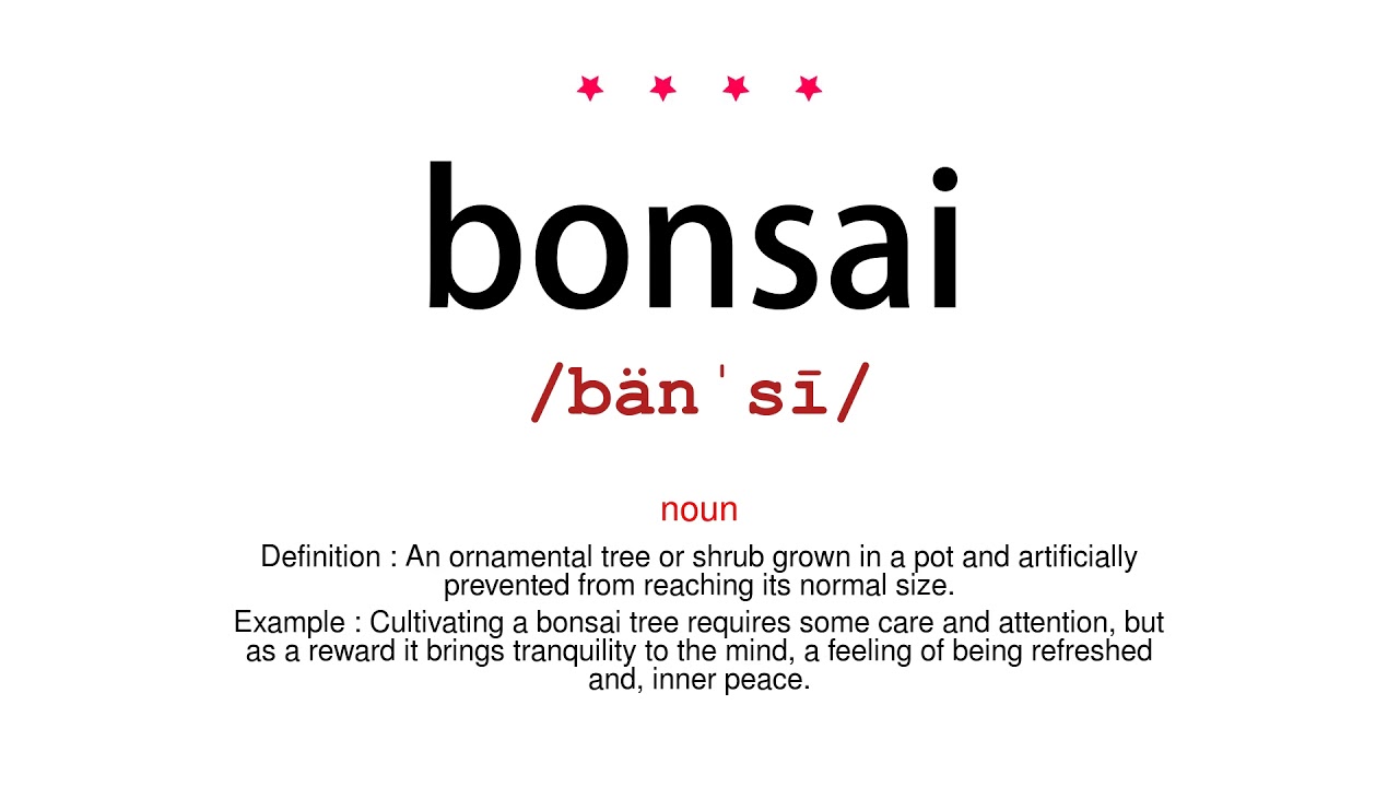 How to pronounce bonsai - Vocab Today