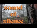 weirdest video on yt, just sitting in the forest