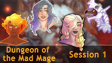 Dungeon of the Mad Mage Session 1