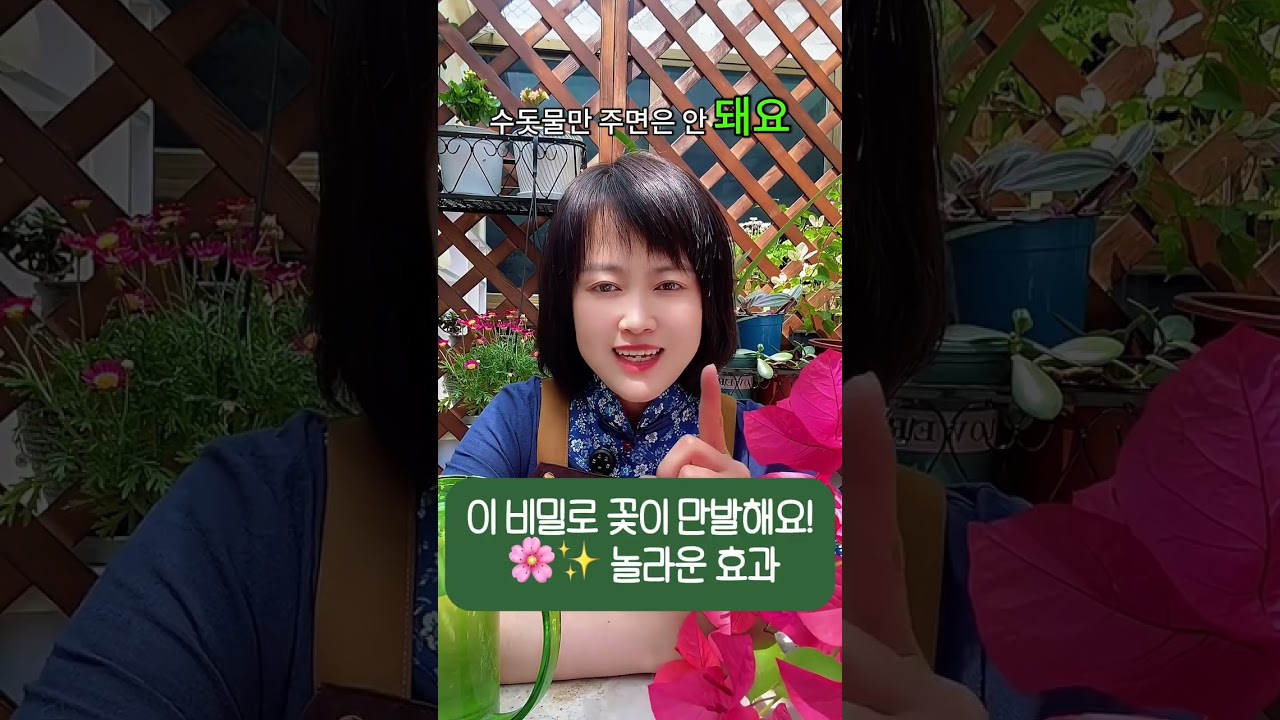 이 비밀로 꽃이 만발해요! 🌸✨ 놀라운 효과