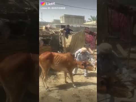 ٤ أغسطس ٢٠٢٠