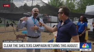 Help Us Clear the Shelters This August!