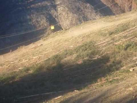 Stewart Logging Ltd New Zealand ( Midill 172)