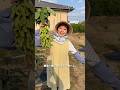 農家の娘は枝豆をこう食べる。#秒数レシピ