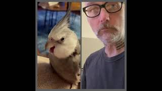 Moby - Untitled Bird Song