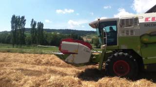 moisson blé 2013