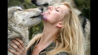 HUGE GREY WOLF - WITH WOLF GIRL ANNEKA (large wolves)