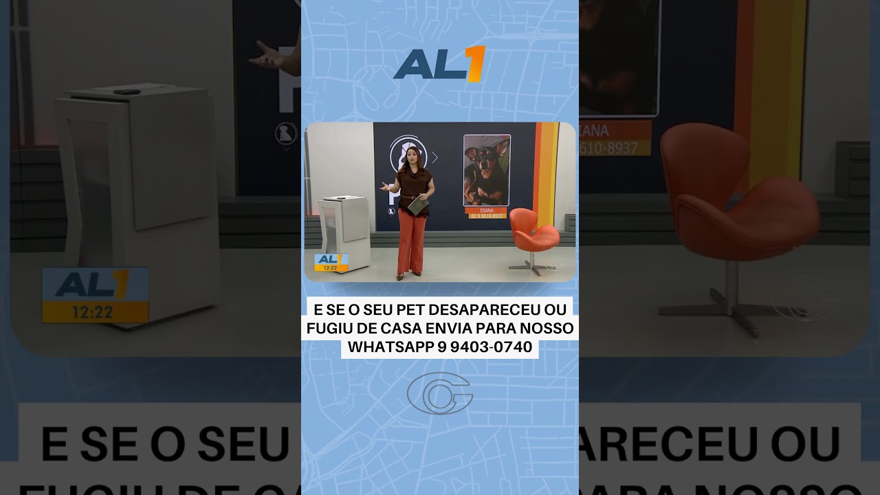 Meu Pet: divulgue fotos de animais desaparecidos em Alagoas