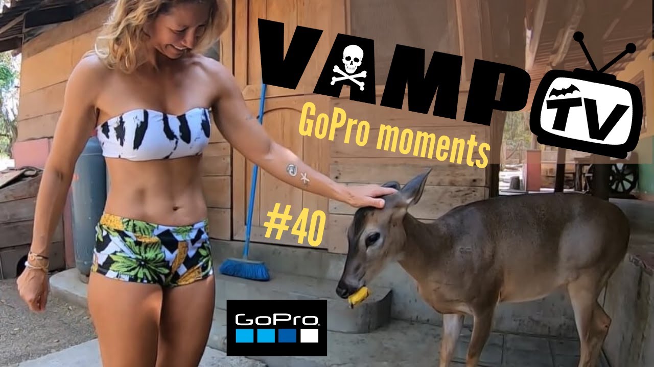 VAMP TV 40