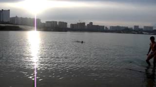 P1010917