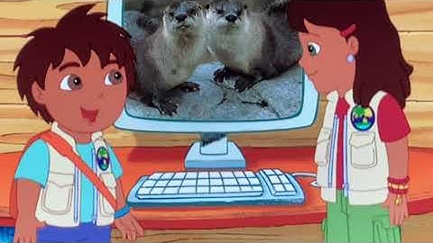 Animal Science Book Otters 🇦🇺