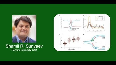 Statistics and Biology of Human Mutation | Shamil R. Sunyaev