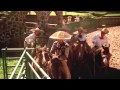 Charrería - Una Tradición Mexicana