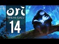 Blind Forest Gameplay Part Lava