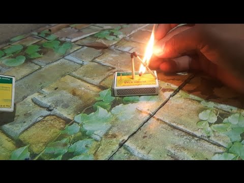 Simple science easy experiment with machis at home #entertainment #e ...