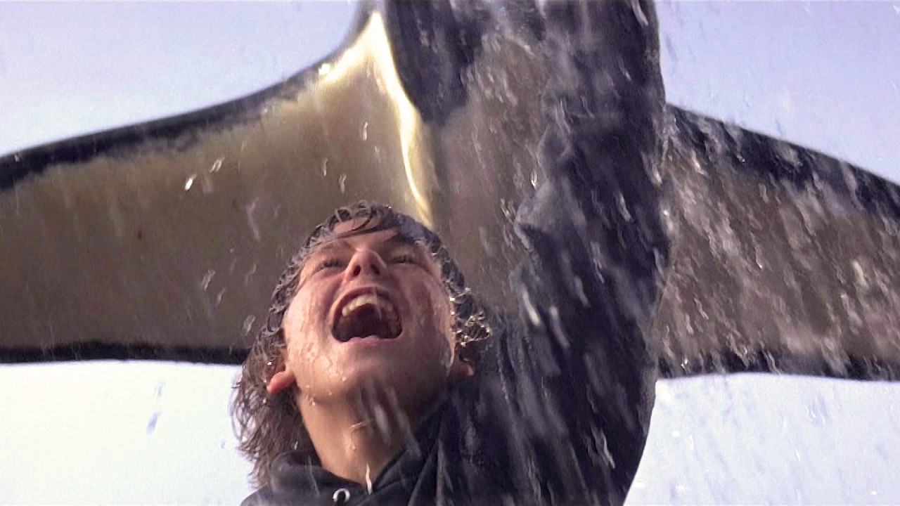 Free Willy REBOOT! What We Know About the New Movie