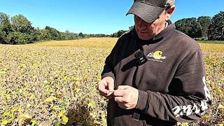 Not Sure Our First Ever Soybean Crop Will Be A Success.