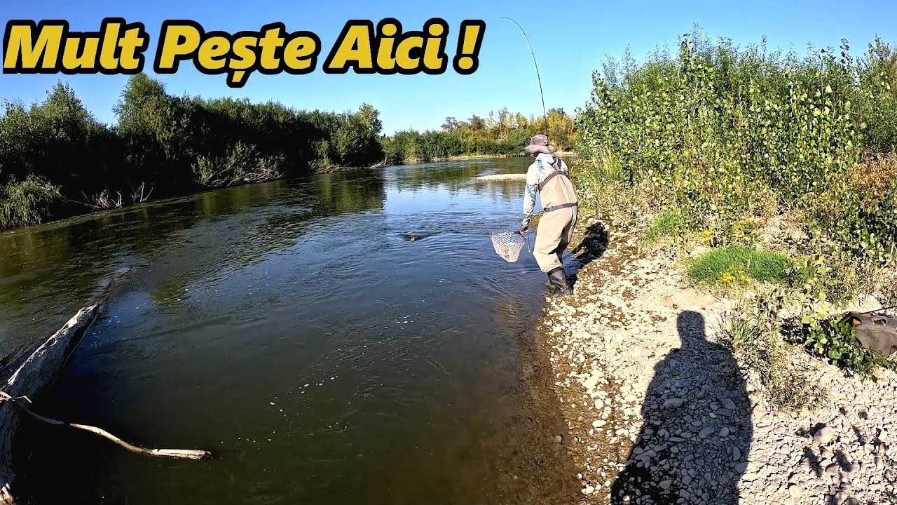 Am PESCUIT la CLEAN și AVAT pe cel mai Sălbatic Râu din Țară