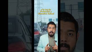 A puppy is abandoned - Roy Stuart Law