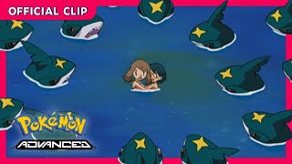 Swimming with Sharpedo | Pokémon: Advanced | Official Clip