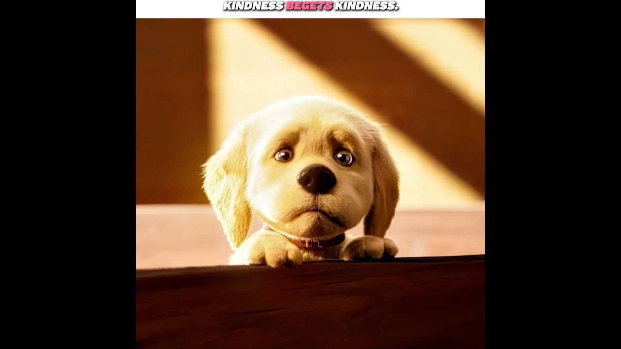 “Kindness Begets Kindness..” | Edit #shorts #sad