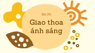 Bài 25 Giao Thoa Ánh Sáng- Vật Lí Lớp 12- Olmvn