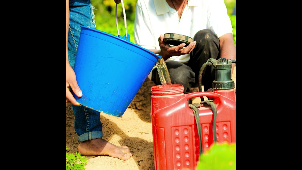 utilisation d'engrais liquide Gasy Grow  