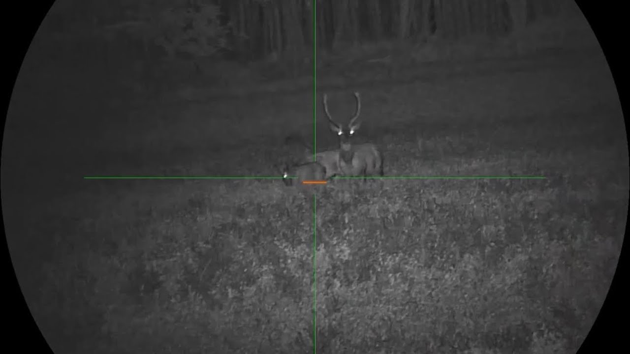 Pard Night Stalker 4K eX + TenoSight L-DUAL - použitý 850nm - www.praedator.sk