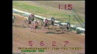 Celebrity Thistledown Horse Racing - November & December 1990 Wealth