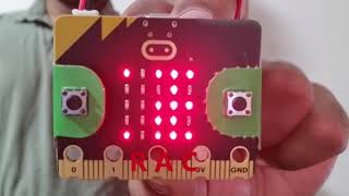 RACE Junior micro:bit Class