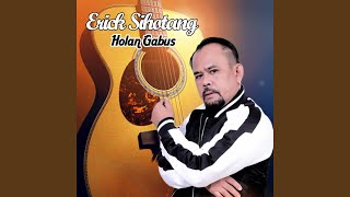 Holan Gabus